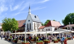 Wyjątkowy moment na Zamku Piastowskim! (7)