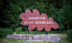 Tajemnice Obory i słowiańskie dziedzictwo (9)