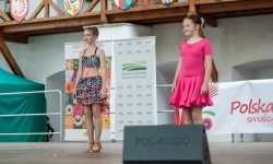 Pokazy wokalno-taneczne w wykonaniu wychowank&oacute;w Powiatowego Domu Kultury w Raciborzu (20)