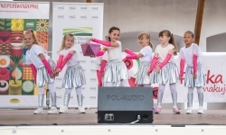 Pokazy wokalno-taneczne w wykonaniu wychowank&oacute;w Powiatowego Domu Kultury w Raciborzu (8)