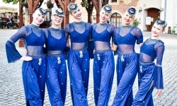 XXIV Międzynarodowe Spotkania Artystyczne &bdquo;Śląsk &ndash; kraina wielu kultur&rdquo; na Zamku Piastowskim (4)