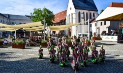 XXIV Międzynarodowe Spotkania Artystyczne &bdquo;Śląsk &ndash; kraina wielu kultur&rdquo; na Zamku Piastowskim (5)