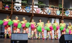XXIV Międzynarodowe Spotkania Artystyczne &bdquo;Śląsk &ndash; kraina wielu kultur&rdquo; na Zamku Piastowskim (16)