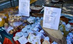 Święto Gminy Pietrowice Wielkie &bdquo;Pietrowice Wielkie &ndash; tu spotykają się ludzie, pasje i tradycja&rdquo; (8)