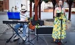 II Misteria Piastorum &ndash; festiwal odkrywc&oacute;w i sztuki zamkowej za nami (11)