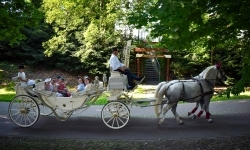 Piękno raciborskiego folkloru i kr&oacute;tka podr&oacute;ż w czasie (16)