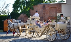 Piękno raciborskiego folkloru i kr&oacute;tka podr&oacute;ż w czasie (17)