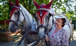Piękno raciborskiego folkloru i kr&oacute;tka podr&oacute;ż w czasie (18)