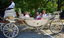 Piękno raciborskiego folkloru i kr&oacute;tka podr&oacute;ż w czasie (1)