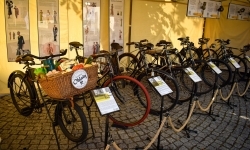 Piękno raciborskiego folkloru i kr&oacute;tka podr&oacute;ż w czasie (3)