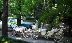 Piękno raciborskiego folkloru i kr&oacute;tka podr&oacute;ż w czasie (5)