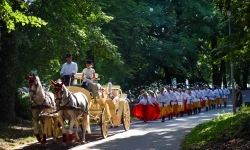 Piękno raciborskiego folkloru i kr&oacute;tka podr&oacute;ż w czasie (8)
