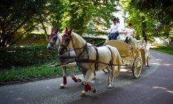 Piękno raciborskiego folkloru i kr&oacute;tka podr&oacute;ż w czasie (2)