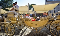 Piękno raciborskiego folkloru i kr&oacute;tka podr&oacute;ż w czasie (12)