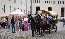 Ale to było popołudnie! Akcja &bdquo;Wakacje w Powiecie Raciborskim&rdquo; rozpoczęła się z przytupem! (17)