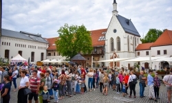 Ale to było popołudnie! Akcja &bdquo;Wakacje w Powiecie Raciborskim&rdquo; rozpoczęła się z przytupem! (1)
