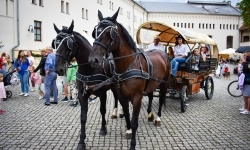 Ale to było popołudnie! Akcja &bdquo;Wakacje w Powiecie Raciborskim&rdquo; rozpoczęła się z przytupem! (4)