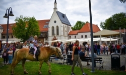 Ale to było popołudnie! Akcja &bdquo;Wakacje w Powiecie Raciborskim&rdquo; rozpoczęła się z przytupem! (15)