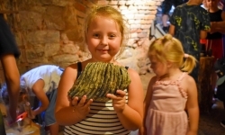 Wakacyjne atrakcje na zamkowym dziedzińcu przyciągnęły tłumy (6)