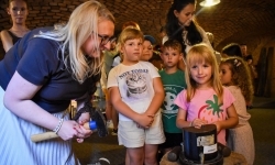 Wakacyjne atrakcje na zamkowym dziedzińcu przyciągnęły tłumy (16)