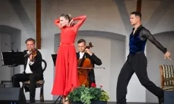 Magiczny wiecz&oacute;r w murach Zamku Piastowskiego! (12)