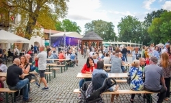 Dożynki Chmielne na zamkowym dziedzińcu za nami (10)