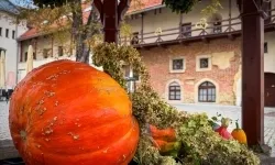 Dożynkowy akcent pojawił się na Zamku Piastowskim! (1)