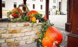 Dożynkowy akcent pojawił się na Zamku Piastowskim! (5)