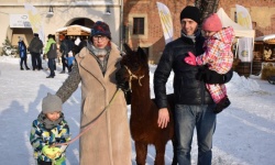 Koncert „Zakochany duet”  (40)