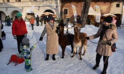 Koncert „Zakochany duet”  (42)