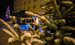 Jarmark Bożonarodzeniowy w Krainie Górnej Odry (7)