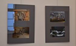 Wernisaż wystaw fotografii (2)