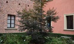 Wojewódzkie obchody Światowego Dnia Turystyki świętowano w Rudach (19)