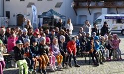 Bezpieczne Grzybobranie (37)