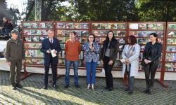 Bezpieczne Grzybobranie (38)