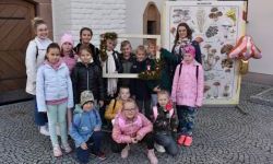 Bezpieczne Grzybobranie (34)