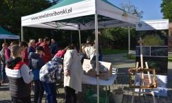 Bezpieczne Grzybobranie (11)