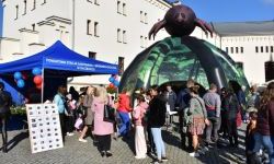 Bezpieczne Grzybobranie (47)