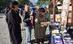 Bezpieczne Grzybobranie (50)