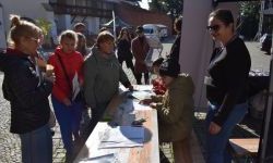 Bezpieczne Grzybobranie (1)