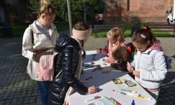 Bezpieczne Grzybobranie (30)
