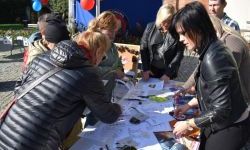 Bezpieczne Grzybobranie (31)