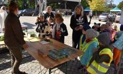 Bezpieczne Grzybobranie (37)