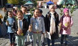 Bezpieczne Grzybobranie (15)