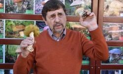 Bezpieczne Grzybobranie (8)