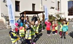 Bezpieczne Grzybobranie (9)