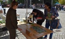Bezpieczne Grzybobranie (10)