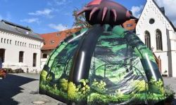 Bezpieczne Grzybobranie (5)