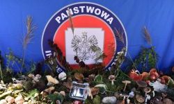 Bezpieczne Grzybobranie (6)