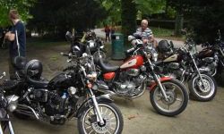 „Zamek Rock Party”  (36)